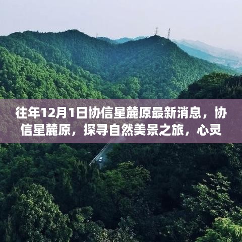 協(xié)信星麓原最新消息，探尋自然美景之旅的心靈港灣