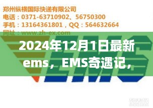 EMS奇遇記，快遞背后的溫暖故事揭秘，2024年12月最新篇章