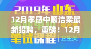 孝感中順潔柔12月最新招聘啟事，職場新星挑戰(zhàn)，崗位空缺等你來填補(bǔ)