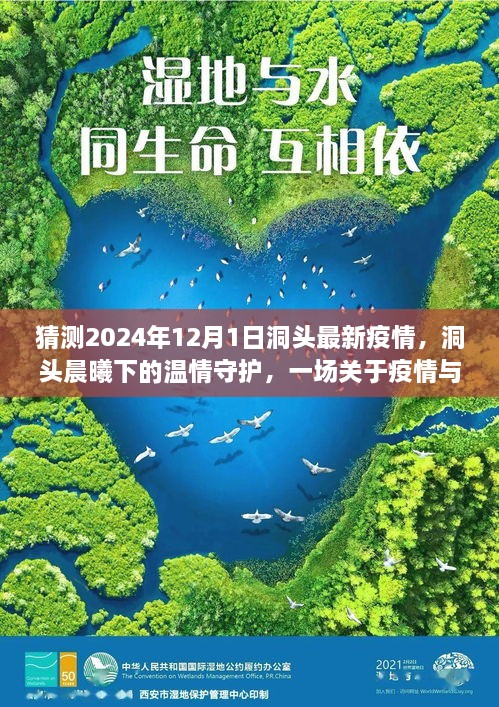 洞頭晨曦下的溫情守護(hù)，疫情與友情的日常故事預(yù)測至2024年12月1日