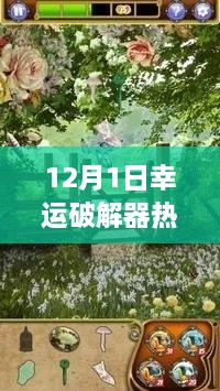 12月1日幸運(yùn)破解器中文版，解鎖自然之美的犯罪風(fēng)險(xiǎn)探討