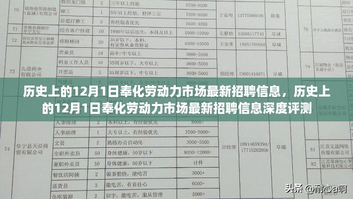 歷史上的12月1日奉化勞動力市場招聘信息概覽與深度評測