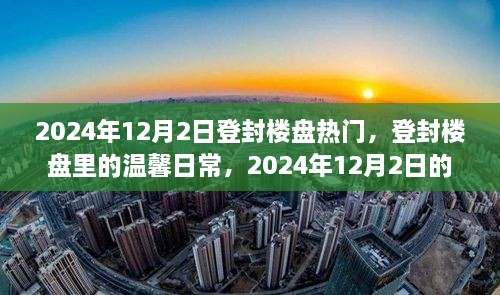 登封樓盤溫馨日常與奇遇，2024年12月2日的矚目焦點