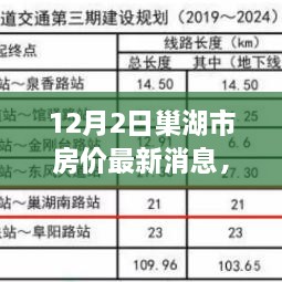 巢湖市房價最新動態(tài)揭秘，深度剖析市場走勢