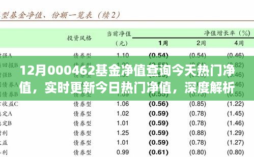 12月000462基金凈值查詢今天熱門凈值，實時更新今日熱門凈值，深度解析12月000462基金凈值查詢