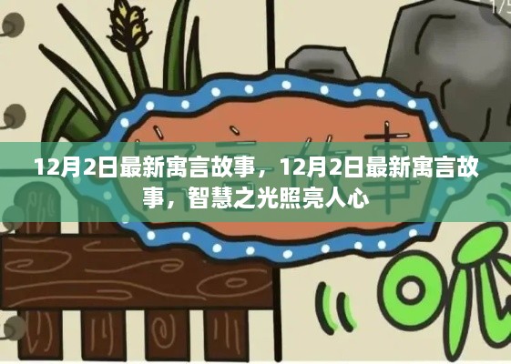 12月2日最新寓言故事，智慧之光照耀人心