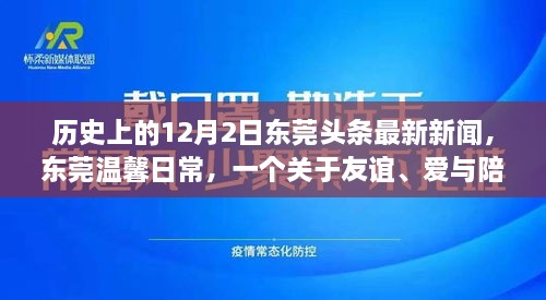 東莞頭條新聞，友誼與愛(ài)在冬日綻放——十二月二日的溫馨日常故事