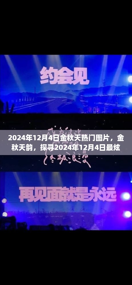 探尋金秋韻味，2024年12月4日熱門圖片精選