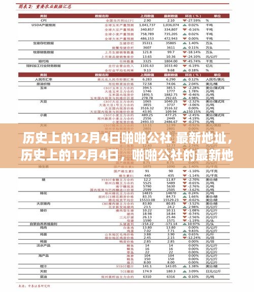 歷史上的12月4日，啪啪公社的最新地址及其背后的故事揭秘（科普文章）