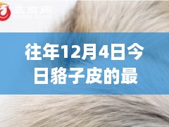 12月4日貉子皮最新價格及歷年趨勢解析，市場動態(tài)一覽