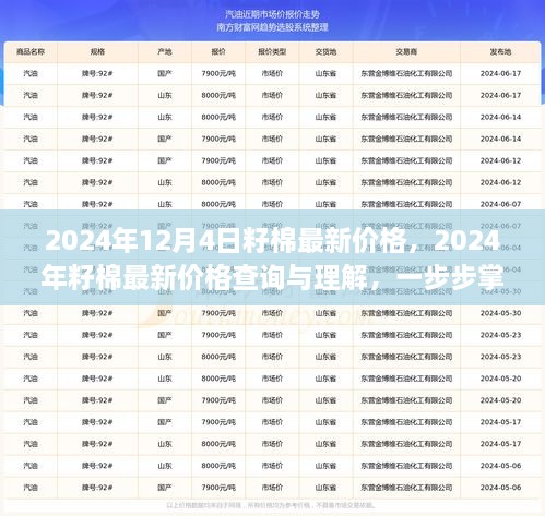 2024年12月4日籽棉最新價格，2024年籽棉最新價格查詢與理解，一步步掌握行情分析技能