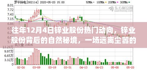 鋅業(yè)股份背后的自然秘境，一場遠離塵囂的心靈之旅揭秘往年12月4日熱門動向