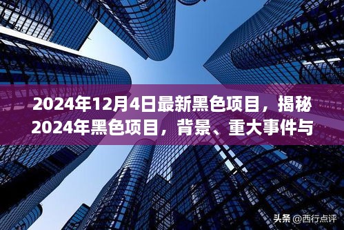 揭秘，2024年黑色項目的背景、重大事件與深遠影響全解析