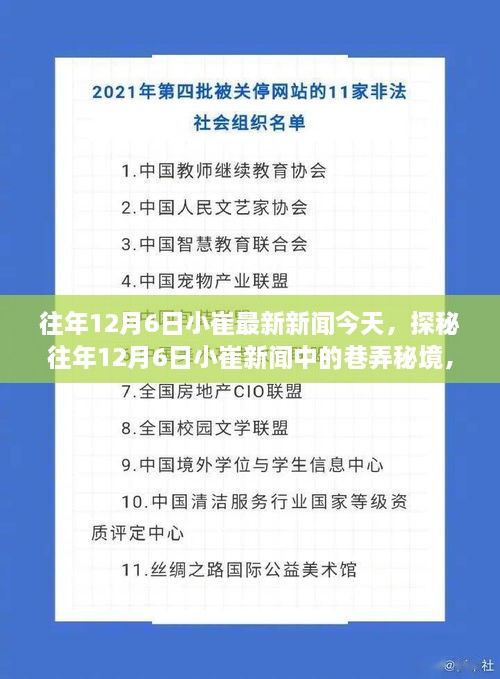 探秘往年12月6日小崔新聞中的巷弄秘境，小巷深處的特色小店揭秘