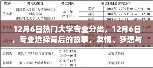 專業(yè)背后的故事，友情、夢想與家的紐帶——12月6日熱門大學(xué)專業(yè)分類探索