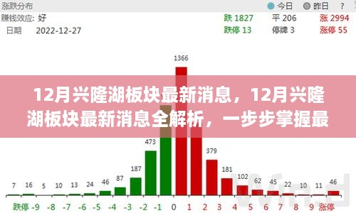 掌握興隆湖板塊最新動(dòng)態(tài)，全面解析十二月最新消息