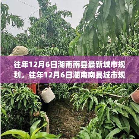 湖南南縣往年城市規(guī)劃揭秘，洞悉最新藍(lán)圖與發(fā)展趨勢(shì)