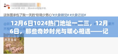 記藏于數(shù)字一二三間的溫馨日常，12月6日的奇妙時(shí)光與暖心相遇