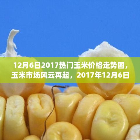 深度解析，玉米市場風云再起，最新玉米價格走勢圖（2017年12月6日）