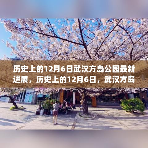 武漢方島公園最新進(jìn)展深度解析，歷史上的12月6日回顧與進(jìn)展報(bào)告