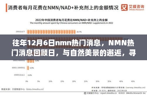 往年NMN熱門消息回顧日，與自然美景的邂逅，心靈寧靜之旅啟程