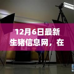 云端豬事，最新生豬信息小記（12月6日）