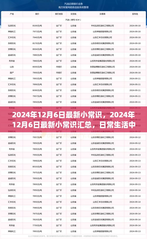 2024年12月6日最新小常識一覽，日常生活中的新奇知識匯總