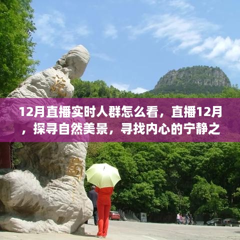 12月直播探尋自然美景，探尋內(nèi)心寧靜之旅的實時觀眾洞察