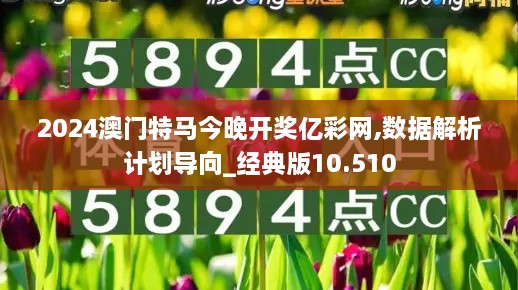 2024澳門特馬今晚開獎億彩網,數據解析計劃導向_經典版10.510