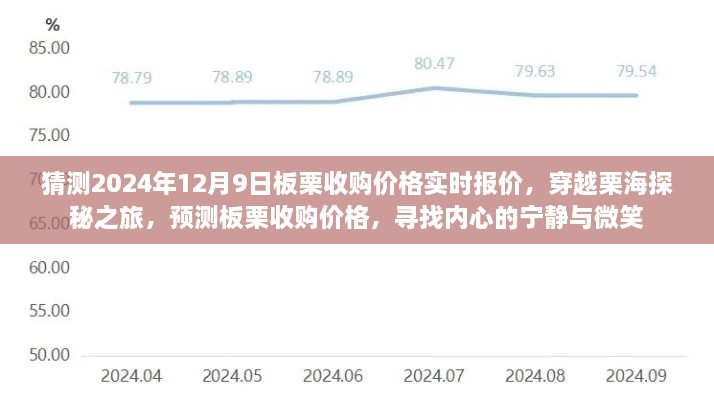 穿越栗海探秘之旅，預(yù)測板栗收購價(jià)格，探尋內(nèi)心寧靜微笑與未來報(bào)價(jià)動態(tài)（實(shí)時(shí)更新）