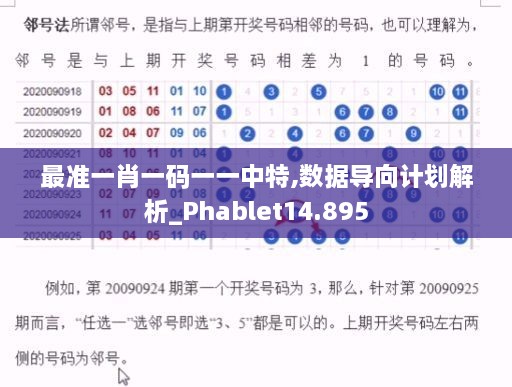 最準(zhǔn)一肖一碼一一中特,數(shù)據(jù)導(dǎo)向計(jì)劃解析_Phablet14.895