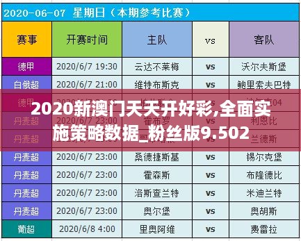 2020新澳門天天開好彩,全面實施策略數據_粉絲版9.502