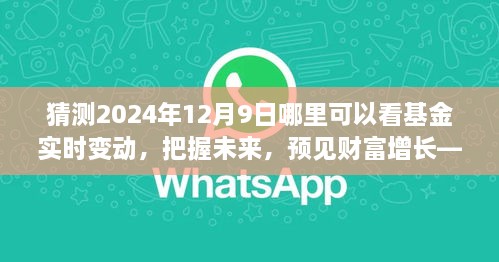 見證未來財(cái)富增長，把握基金實(shí)時(shí)變動(dòng)之旅，2024年12月9日揭曉！