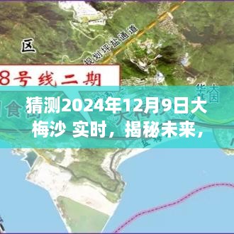 揭秘大梅沙海域未來(lái)生態(tài)與環(huán)境展望，2024年12月9日海洋生態(tài)實(shí)時(shí)揭秘