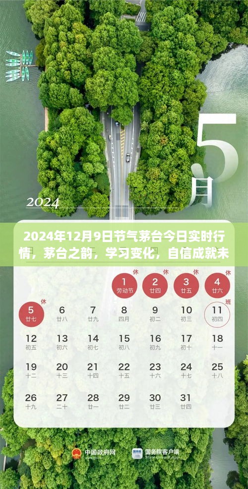 茅臺(tái)之韻，2024年12月9日實(shí)時(shí)行情啟示錄，洞悉變化，自信筑夢(mèng)未來