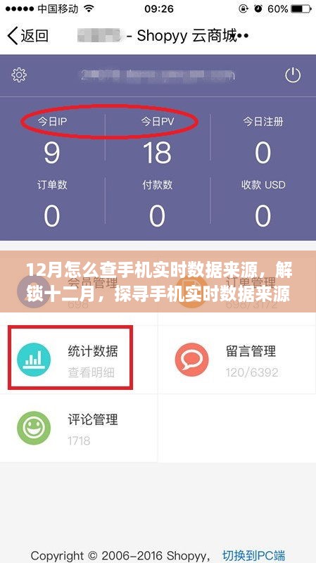 探尋手機(jī)實(shí)時(shí)數(shù)據(jù)來源的奧秘，十二月開啟自信與成就之旅的指南