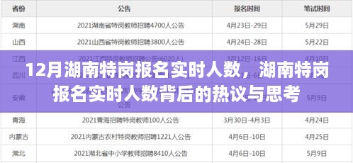 湖南特崗報名實時人數(shù)熱議與思考，背后的真相與啟示