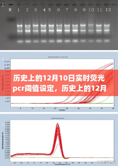 歷史上的12月10日，實(shí)時熒光PCR閾值設(shè)定的探索之旅