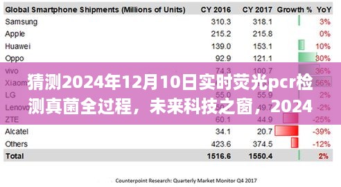 揭秘未來科技之窗，2024年實時熒光PCR檢測真菌全過程展望與解析