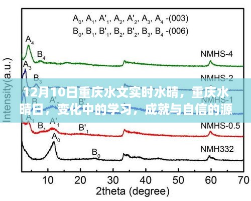 重慶水晴日下的學(xué)習(xí)成就與自信之源，變化中的探索與成長之路