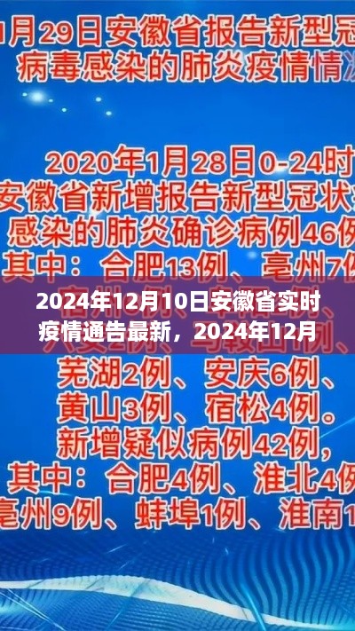 2024年12月10日安徽省實時疫情通告，最新分析與觀察