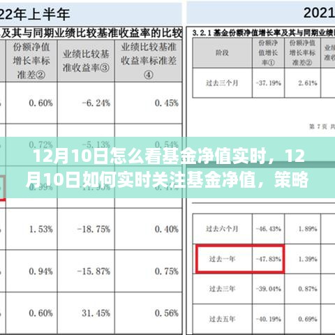 12月10日基金凈值實時關注策略與技巧，如何掌握基金動態(tài)