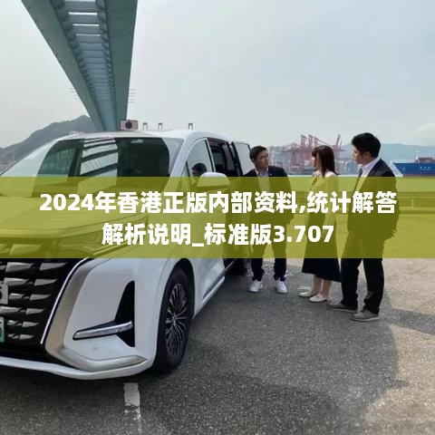 2024年香港正版內部資料,統計解答解析說明_標準版3.707