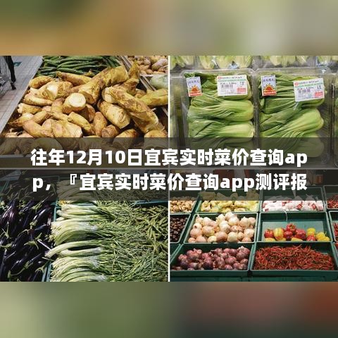 宜賓實(shí)時(shí)菜價(jià)查詢app歷年功能深度解析與用戶體驗(yàn)洞察測(cè)評(píng)報(bào)告，宜賓歷年菜價(jià)變遷一覽無(wú)余！