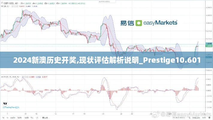 2024新澳歷史開獎,現(xiàn)狀評估解析說明_Prestige10.601