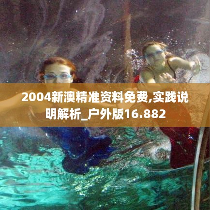 2004新澳精準(zhǔn)資料免費(fèi),實(shí)踐說明解析_戶外版16.882