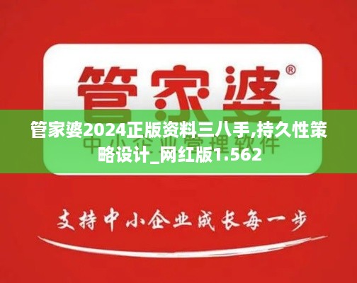 管家婆2024正版資料三八手,持久性策略設計_網(wǎng)紅版1.562