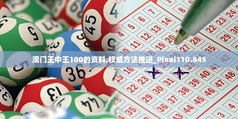 澳門王中王100的資料,權(quán)威方法推進_Pixel110.845