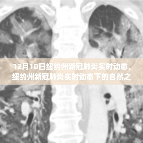 紐約州新冠疫情實(shí)時動態(tài)下的自然之旅，尋找心靈寧靜與平和