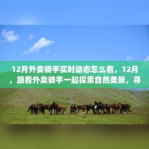 跟著外賣騎手探索自然美景，12月實時動態(tài)與心靈之旅